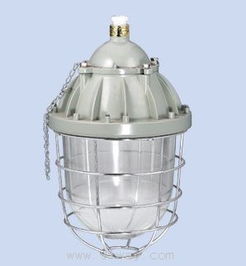 防爆燈應急解決方案 安能達防爆電器供應與專業制造